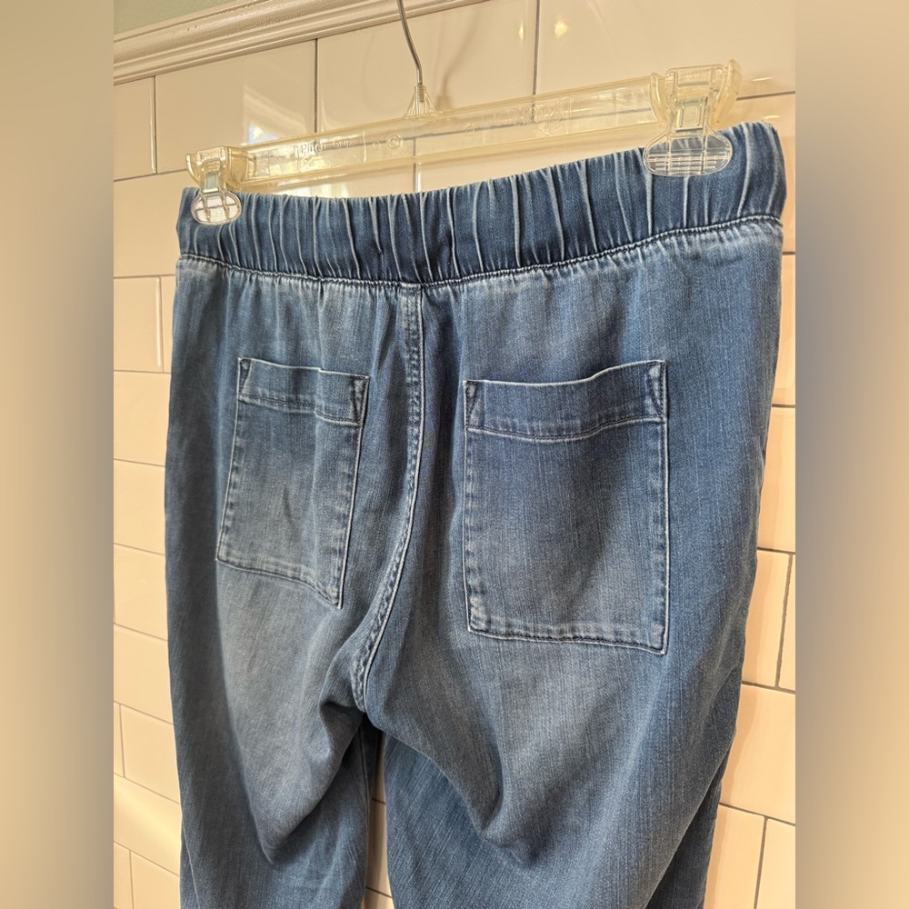 Cloth & Stone Indigo Jogger Pants - Picture 6 of 6
